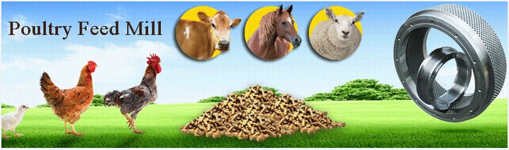 China Made Poultry Feed Pellet Making Machine, Chicken Feed Pellet Mill, Animal Feed Pelletizing Machine, Animal Feed Production Line, Pellet Mill Line