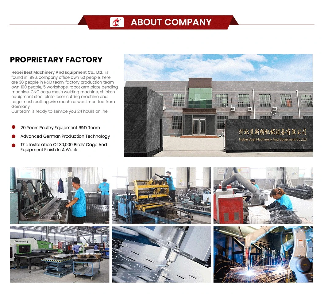 Bestchickencage Feed Crushing Mixer China Feed Grinder and Mixer Manufacturers OEM Customized Environmental Friendly Poultry Feed Mixer